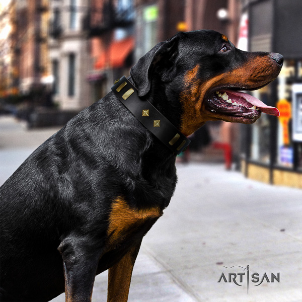 Rottweiler walking full grain leather collar for your attractive pet