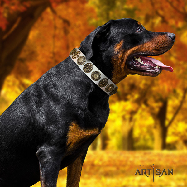 Rottweiler handy use full grain genuine leather collar for your lovely doggie