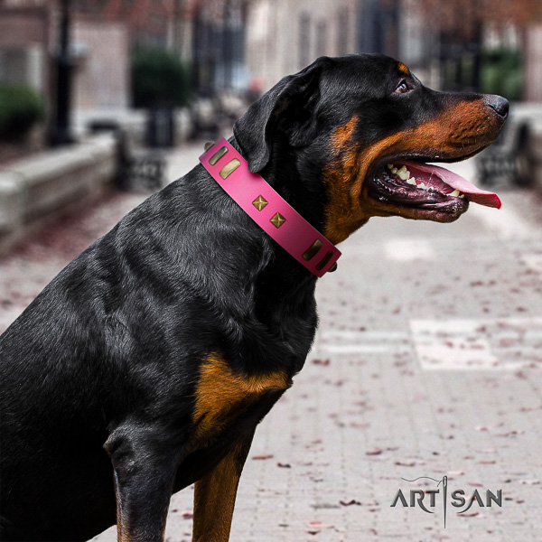 Rottweiler everyday walking natural leather collar for your impressive doggie