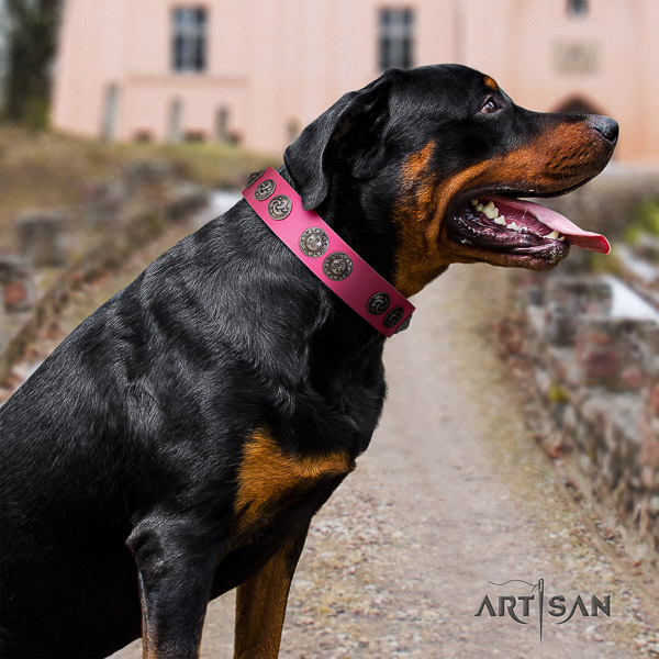 Rottweiler daily walking leather collar for your handsome canine
