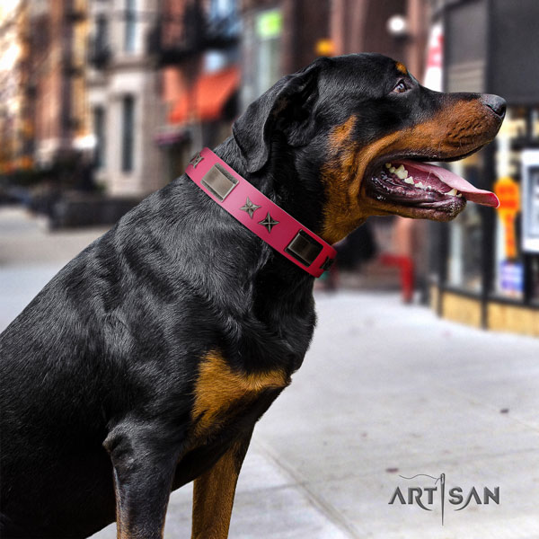 Rottweiler comfortable collar with stylish design studs for your canine