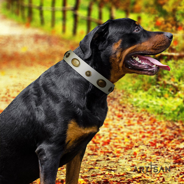 Rottweiler easy wearing full grain genuine leather dog collar with remarkable decorations