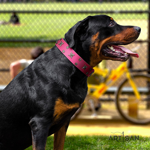 Rottweiler daily walking natural leather collar for your lovely canine