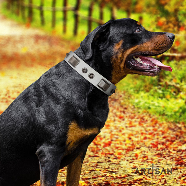 Rottweiler handcrafted collar with awesome studs for your doggie