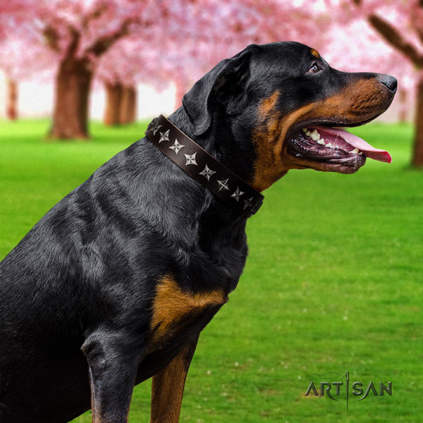 Rottweiler fine quality collar with inimitable embellishments for your canine