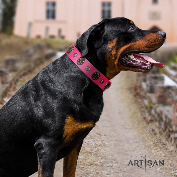 Rottweiler daily walking genuine leather collar for your impressive doggie