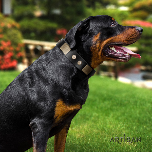 Rottweiler daily walking leather collar for your lovely doggie