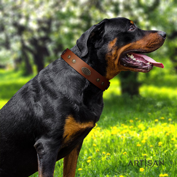 Rottweiler best quality full grain leather dog collar with stunning decorations