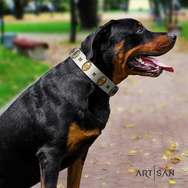 Rottweiler easy wearing full grain natural leather collar for your impressive four-legged friend