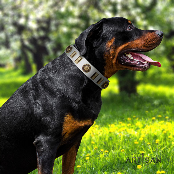Rottweiler fancy walking natural leather collar for your beautiful doggie