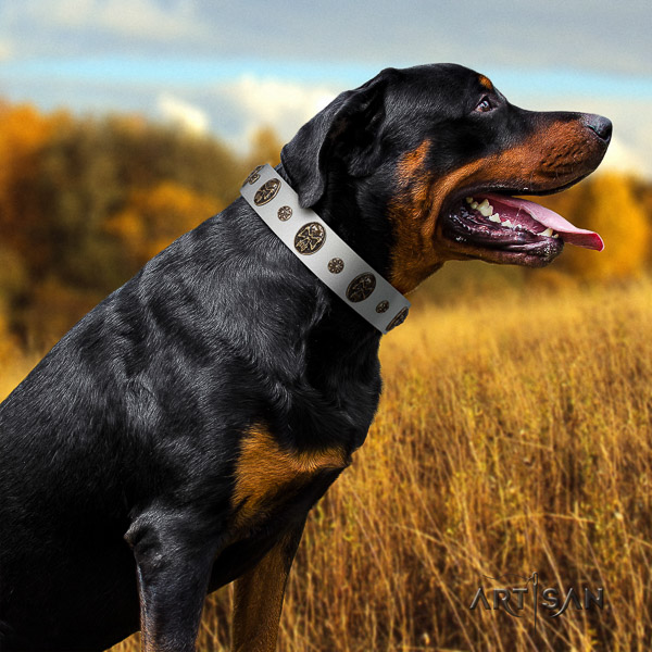 Rottweiler everyday use full grain natural leather collar for your handsome canine