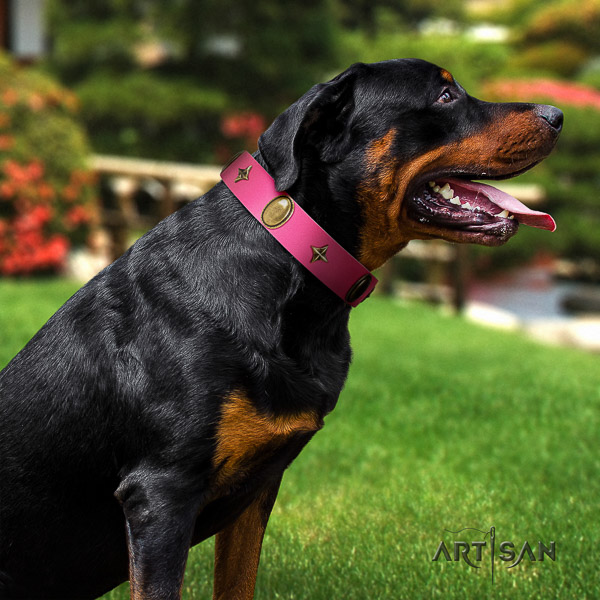 Rottweiler everyday walking genuine leather collar for your impressive doggie