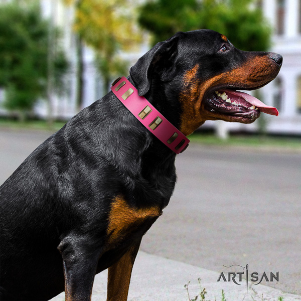 Rottweiler stylish walking full grain genuine leather collar for your beautiful canine