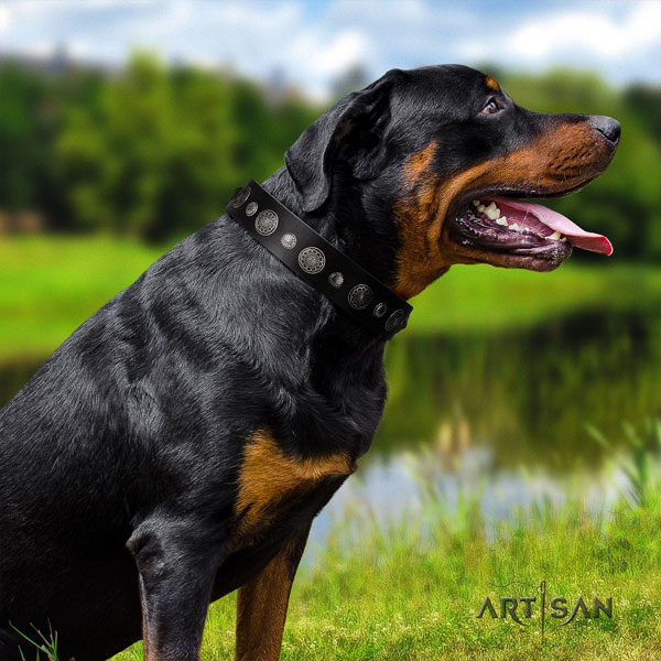 Rottweiler easy adjustable collar with fashionable embellishments for your four-legged friend