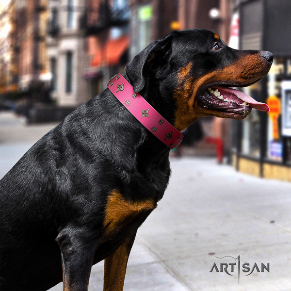 Rottweiler comfortable wearing genuine leather collar for your lovely four-legged friend