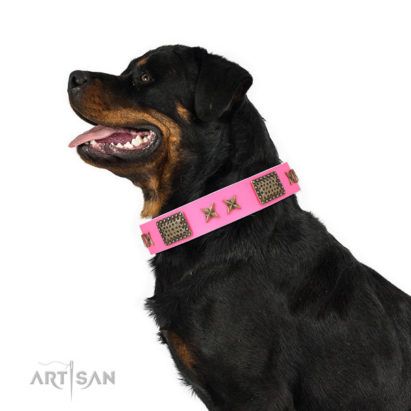 Rottweiler trendy genuine leather dog collar for everyday use