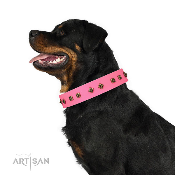 Rottweiler exquisite leather dog collar for handy use