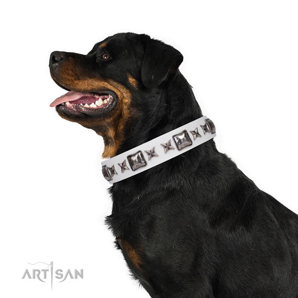 Rottweiler designer full grain natural leather dog collar for handy use