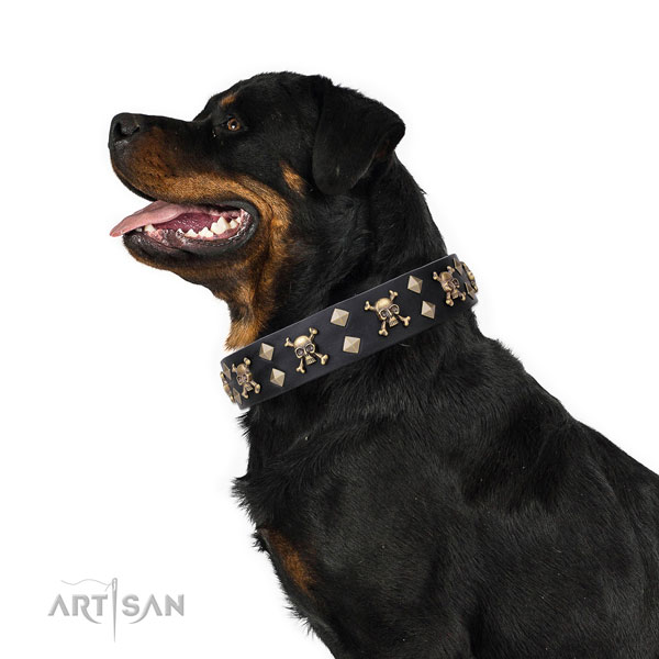 Rottweiler best quality full grain genuine leather dog collar for daily use