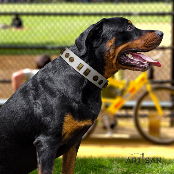 Rottweiler handmade natural genuine leather dog collar with amazing studs