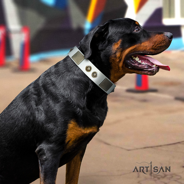 Rottweiler everyday walking full grain genuine leather collar for your stylish dog