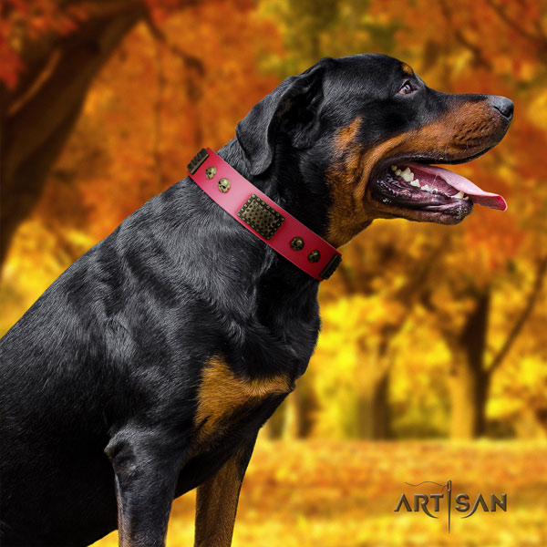 Rottweiler easy to adjust full grain leather dog collar with exceptional decorations