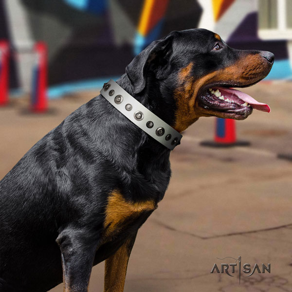 Rottweiler perfect fit collar with stylish design decorations for your pet