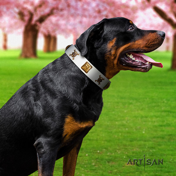 Rottweiler handy use leather collar for your stylish dog