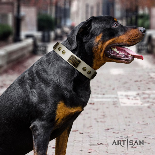 Rottweiler handcrafted full grain genuine leather dog collar with remarkable embellishments