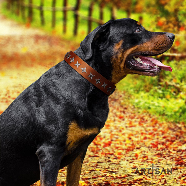 Rottweiler comfortable collar with stylish design adornments for your doggie