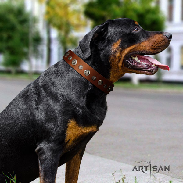 Rottweiler handmade collar with trendy decorations for your four-legged friend