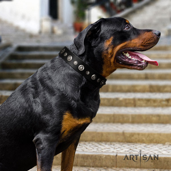 Rottweiler easy adjustable collar with inimitable decorations for your canine