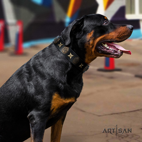 Rottweiler daily use full grain genuine leather collar for your impressive doggie