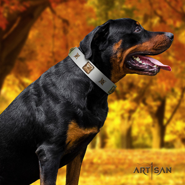 Rottweiler stylish walking full grain leather collar for your stylish doggie
