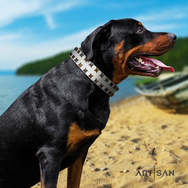 Rottweiler everyday walking full grain leather collar for your handsome four-legged friend