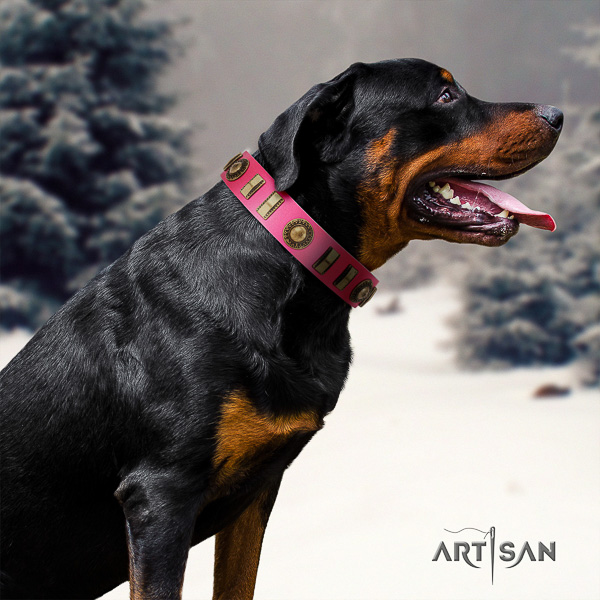 Rottweiler easy wearing natural leather collar for your attractive dog