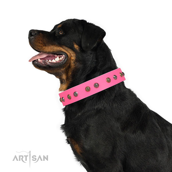 Rottweiler stylish design genuine leather dog collar for fancy walking