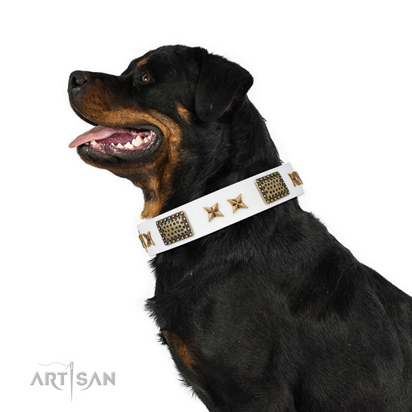 Rottweiler unusual leather dog collar for comfortable wearing