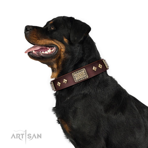 Rottweiler decorated full grain natural leather dog collar for comfy wearing