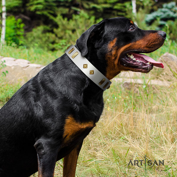 Rottweiler daily use leather collar for your attractive four-legged friend