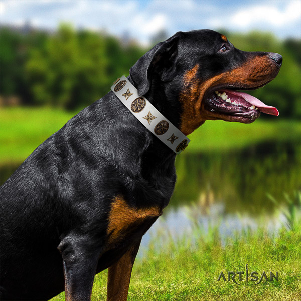 Rottweiler basic training leather collar for your beautiful dog