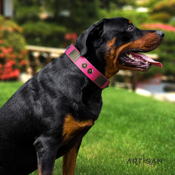Rottweiler handy use genuine leather collar for your handsome canine