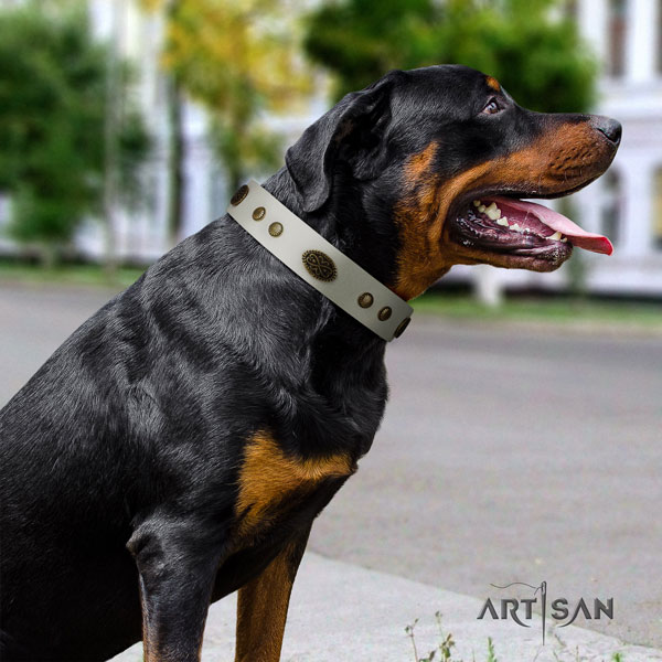 Rottweiler adjustable full grain genuine leather dog collar with fashionable studs