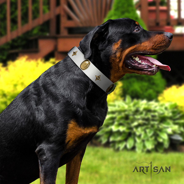 Rottweiler easy wearing genuine leather collar for your stylish canine