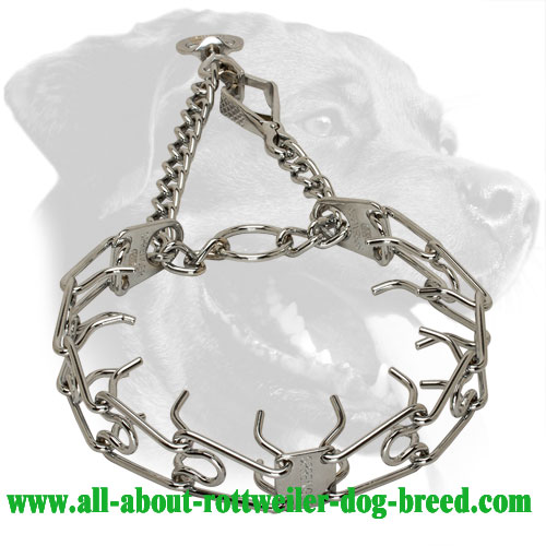 Effective Rottweiler Pinch Collar for Obedience Training