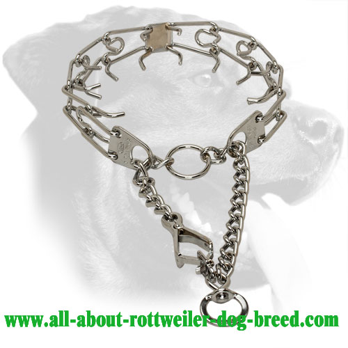 Chrome Plated Rottweiler Pinch Collar with Scissor Type  Snap Hook