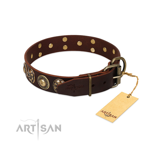 Everyday use full grain natural leather collar with decorations for your doggie