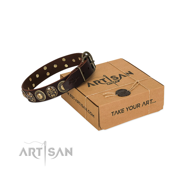 Adorned full grain leather dog collar for everyday walking