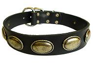 dog collar for walking rottweiler