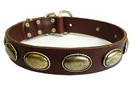 best leather dog collar brown color